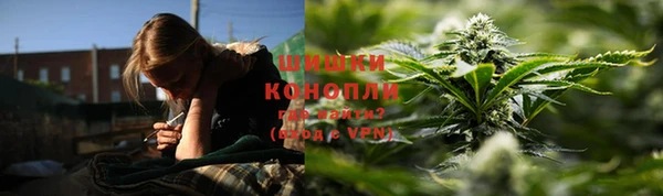 спайс Бородино