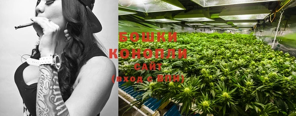 стафф Богданович